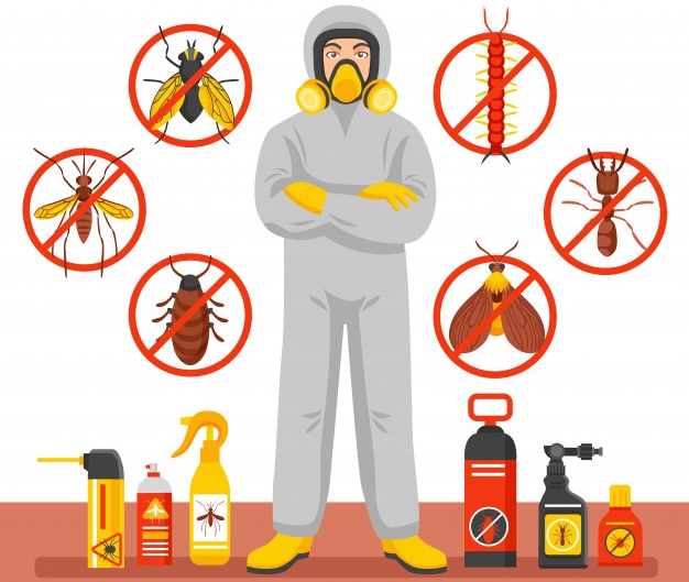 Tăng cường thanh tra, kiểm tra về sản xuất, kinh doanh, sử dụng hóa chất, chế phẩm diệt côn trùng, diệt khuẩn 